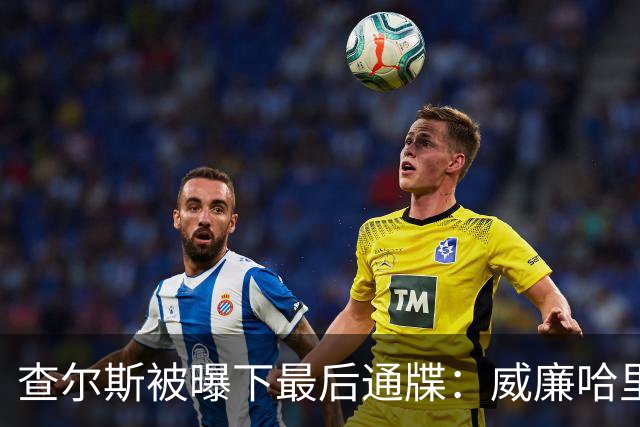查尔斯被曝下最后通牒：威廉哈里必须公开同框