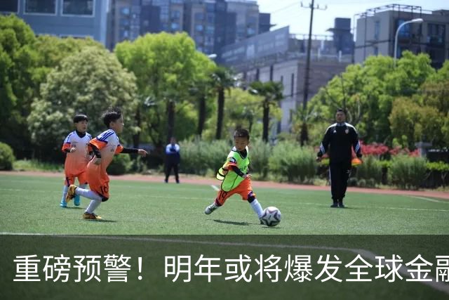 重磅预警！明年或将爆发全球金融危机，威力远超2008年海啸！